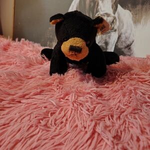 Unipak Black Plush Bear with Tan Accents